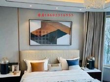 (珊湖小11中)南滨路精装豪宅,2梯2户配套,两江四岸核心区