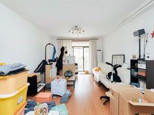 金桥版块 电梯大三房 电梯中高区 不靠马路 诚意出售