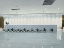 团结湖 嘉盛中心 精致装修 大气前台 三面采光 近地铁 嘉铭