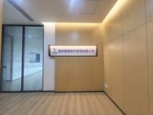 实拍好房!凤凰置地丨300平品质装修丨三面采光!楼下地铁!