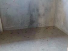 CBD瑞府独栋别墅 带大花园 生活配套成熟 户型方正大气