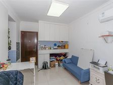 星晓家园 朝南 精装修 近地铁 有钥匙 看房随时