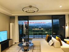 茶园南、江南万科城精装两房出售、带新风系统