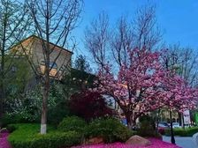 格拉斯新出精装别墅上二下二拎包入住,随时看房 同看运河玖院