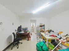 张江东 唐镇 中间楼层 中间位置