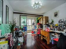 新梅共和城小区第三排满五V一动静分明价格好谈