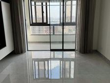 排高区,黄浦江全景观房,南北通豪华装修,钥匙房,有车位