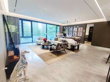 江北嘴龙湖精装花园洋房,类四代宅,落地窗,近鲁吧,有车位