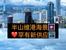 195189 43928半山维港罕有豪宅一梯一户有望问鼎楼皇