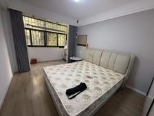 急!急1房东 30,双南两房 烫金地段看房方便 价可谈
