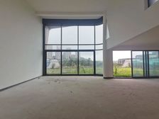 照母山 独栋别墅,楼wang看湖 身份象征 香港置地天湖岛