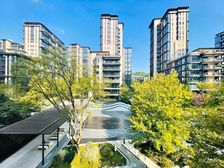 宇宙中芯,照母山龙湖舜山府一期,板式大平层,全玻璃幕墙设计