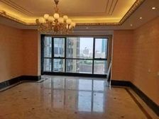 红谷滩大平层豪宅诚心出售 豪宅富人区 塔尖的存在