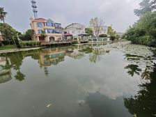 莘松路上 纯独栋高品质小区 大花园 临河 纯毛坯 地上三层