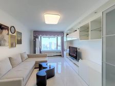 地铁 天坛 怡海花园富泽园 电梯大一居 南向 精装修 采光好