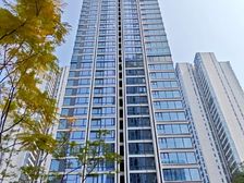 冉家坝 龙湖商圈轻轨出口 全玻璃幕墙大平层 看中庭 必看!!