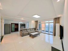 鲁能大平层 横厅 环境好 价格可谈 旁边轻轨