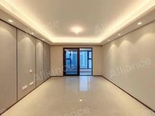 奥体核心 华润未来城市DK4 一路之隔 高新书包精装全新未住