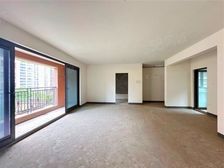 渝八(中央公园光环旁)双轻轨香港置地左北朝南!板式洋房