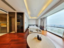 丰隆城市中心经典大1居格局无浪费电梯房价钱可议