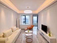 110颗!买礼嘉天街旁精装大两房