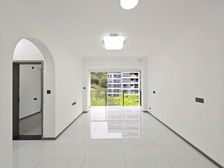 带100平屋顶花园 精装修3房 轻轨3号线万达商圈 还价就卖