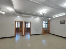 妇幼家属楼 南北大三居 中间层 小区正在升级改造中