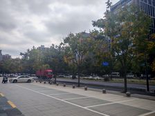 彭埠地铁口大型住宅底商173方招药店眼镜店诊所中医美容等业态