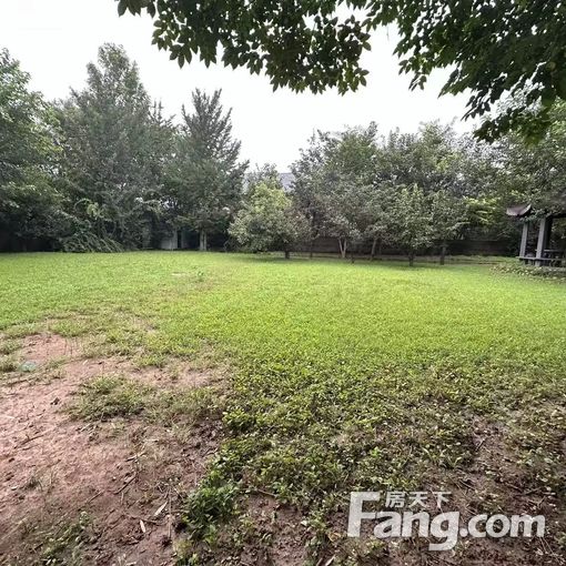 ÕæÊµ1500ƽÃ×Ôº¶ù,¿É°ì¹«´ó±ðÊû