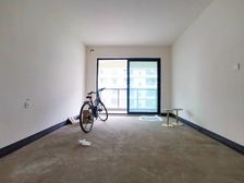 业主急售 王家庄轻轨站 三条轻轨线 一梯两户