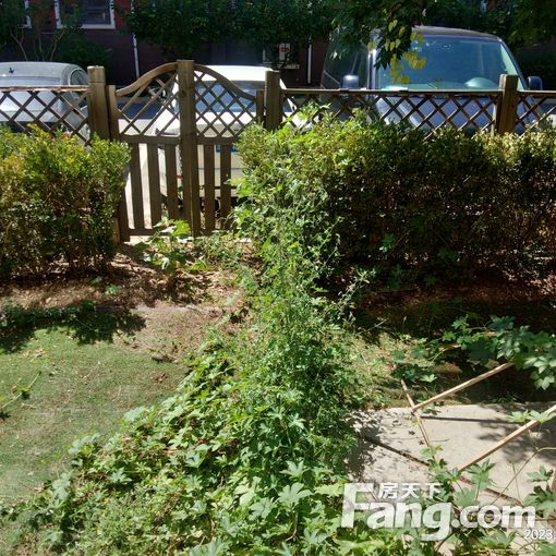 ÕæÊµ,ϵþÆ´Ò»²ã´øÔº¶ù,¾àÀë×ß·5