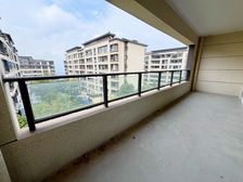 价格 少砍20万 视野无遮挡 能看江 花园 露台 均可满足