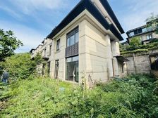 急售!礼嘉(看江别墅)端户,大花园 视野好 价可少