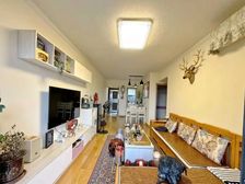 蔚蓝山 精装2房1卫 小区新 无个税 状态好 随时可看房