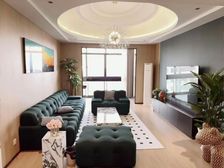 装修花了50个 电梯凤凰楼层了望浦东三件套 带车位 诚心出售