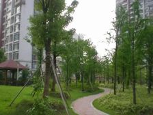 北九亭烫金地段 新上两房 三阳台 看房随时有密码