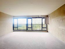 南岸区 茶园 1旁 真花园洋房 品质 低单价