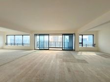 江北区。邮轮母港,半山平墅,270度看江视野霸道!