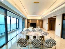 New新上!城市核心丶品质精装大平层(来福士开发商)高端物业