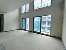 禹洲博学家(二期) 精装可拎包入住 商品房 南北通透