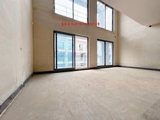 高新区 轻轨旁 洋房价格买别墅 带屋顶花园 使用面积220平