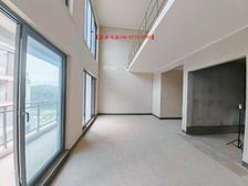 总价96 买叠拼别墅 带露台 带花园 实得200平