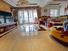 新世界水临境 洋房 精装 232平 5房 满二 带车位地暖