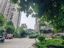 新上 中间楼层采光好 拎包入住 商品房电梯房 出门地铁