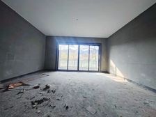 万科棠樾(别墅) 有电梯层层看湖景 前面是个大草坪 诚心急卖