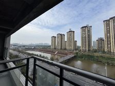 真!河景房 会展新城 房东 视野广阔 诚心出售 手慢无