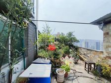 西小 扬中 150平屋顶花园 视野好