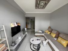 12.22 现在仅45.8万 低楼层 交通便利 门口双轻轨站