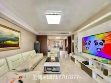 紫藤苑 3室2厅 精装修 电梯房 居家 保养全新