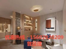 臻铂公馆复式买一层送一层-总价25万-位置地段好来电就看房
